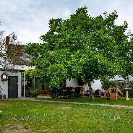 B&B De Kreek Graauw Exteriör bild